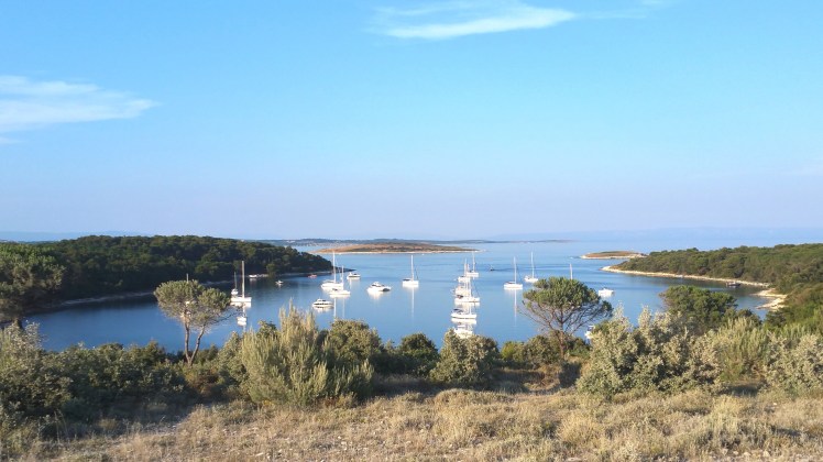 20170622_191915 - Copy